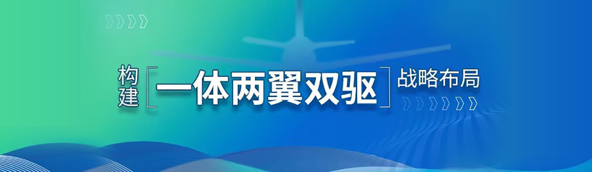 新型能源构建一体两翼双驱战略结构